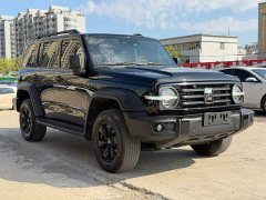 Tank 300 2.0T Conqueror - ფოტო 6
