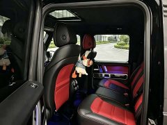 Mercedes-Benz GAMG AMG G 63 Version Edition - ფოტო 9