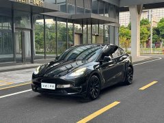 Tesla Model Y Standard Range RWD - ფოტო 1