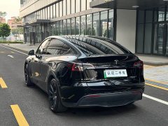 Tesla Model Y Standard Range RWD - ფოტო 13