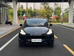 Tesla Model Y Standard Range RWD - ფოტო 2