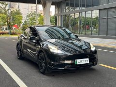 Tesla Model Y Standard Range RWD - ფოტო 3