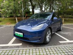 Tesla Model Y Long Range All-Wheel Drive - ფოტო 1