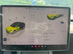 Tesla Model Y Long Range All-Wheel Drive - ფოტო 10