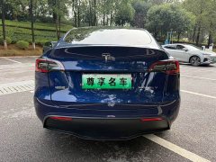 Tesla Model Y Long Range All-Wheel Drive - ფოტო 14