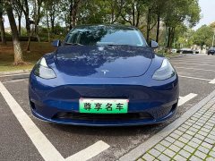 Tesla Model Y Long Range All-Wheel Drive - ფოტო 2