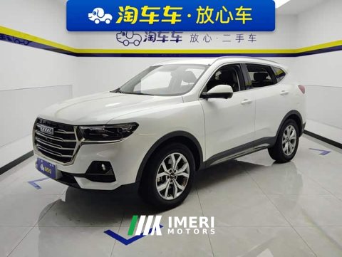 2021 Haval H6 National Trend 1.5T Automatic Champion Edition - ავტომობილი ჩინეთიდან