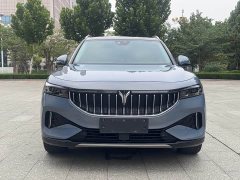 Voyah Lantu FREE 2021 Four-Wheel Drive Standard Pure Electric Exclusive Luxury Package - ფოტო 2