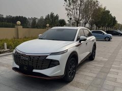 Haval Divine Beast 1.5T Smart Enjoy Edition - ფოტო 1