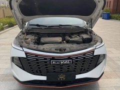 Haval Divine Beast 1.5T Smart Enjoy Edition - ფოტო 6