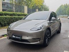 Tesla Model Y Standard Range RWD - ფოტო 1