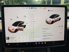 Tesla Model Y Standard Range RWD - ფოტო 14