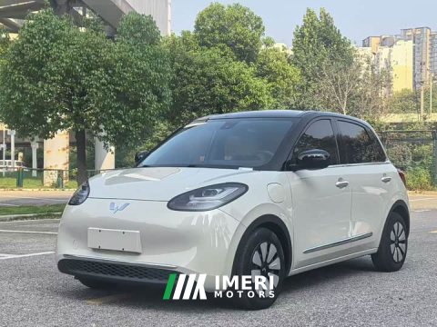 2023 Wuling Binguo 333km Lingxi Connected Plus - ავტომობილი ჩინეთიდან