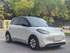 Wuling Binguo 333km Lingxi Connected Plus - ფოტო 3