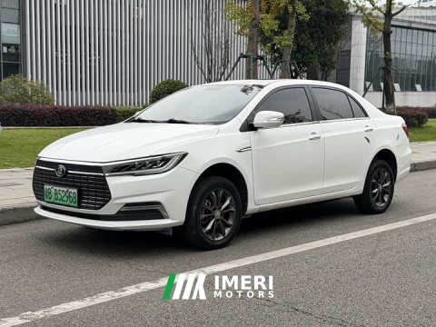 2022 BYD Qin New Energy 2021 Travel Edition - ავტომობილი ჩინეთიდან