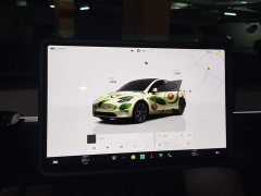 Tesla Model Y Rear-Wheel Drive - ფოტო 13