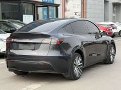 Tesla Model Y Rear-Wheel Drive - ფოტო 4