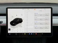 Tesla Model Y Rear-Wheel Drive - ფოტო 9