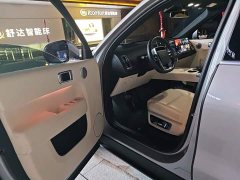 Li Auto L9 Max - ფოტო 12