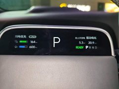 Li Auto L9 Max - ფოტო 7