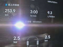 Li Auto L9 Max - ფოტო 8