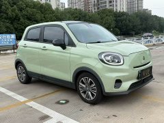 Leapmotor Leapo T03 Star Diamond Edition - ფოტო 3