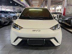 BYD Seagull 305km Vitality Edition - ფოტო 1