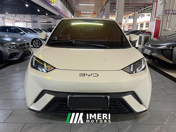 BYD Seagull 305km Vitality Edition
