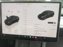 Tesla Model Y Rear-Wheel Drive - ფოტო 6