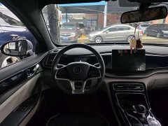 BYD Qin PLUS EV 500KM Luxury - ფოტო 8