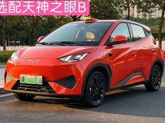 BYD Seagull 305km Freedom Edition - ფოტო 1