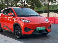 BYD Seagull 305km Freedom Edition - ფოტო 10
