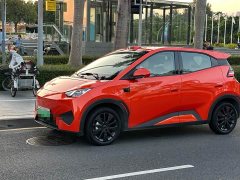 BYD Seagull 305km Freedom Edition - ფოტო 2
