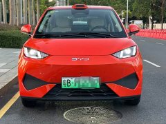 BYD Seagull 305km Freedom Edition - ფოტო 9