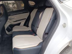 BYD Song Plus New Energy 2021 DM-i 110KM Flagship - ფოტო 13