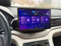 BYD Song Plus New Energy 2021 DM-i 110KM Flagship - ფოტო 9
