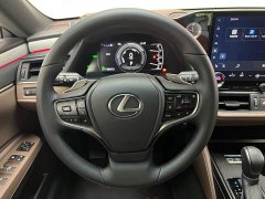 Lexus ES 300h Premium Edition - ფოტო 14