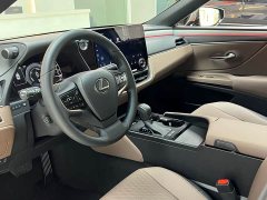Lexus ES 300h Premium Edition - ფოტო 8