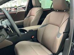 Lexus ES 300h Premium Edition - ფოტო 9
