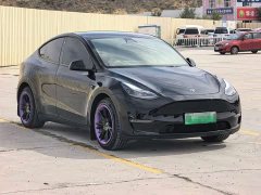Tesla Model Y 2021 Standard Range RWD - ფოტო 3
