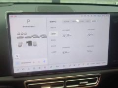 Li Auto L6 Max - ფოტო 14