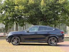 BMW X6 xDrive40i M Sport Premium Package - ფოტო 7