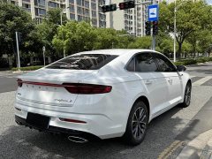 Geely Xingrui 2023 2.0T Diesel Elite - ფოტო 7