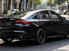 Trumpchi Leopard 270T DCT J11 - ფოტო 5