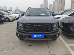 Great Wall Dachshund 2026 1.5T DCT Border Collie Edition - ფოტო 2