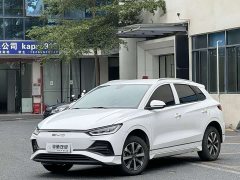 BYD e2 2023 Comfort - ფოტო 1