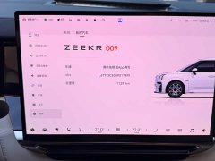 Zeekr 009 Six-Seat Executive AWD 108kWh - ფოტო 15