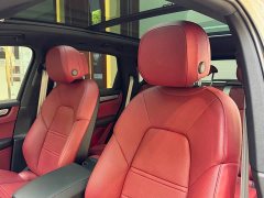 Porsche 2023 Cayenne 3.0T Platinum Edition - ფოტო 15