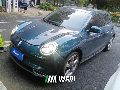 2021 ORA Good Cat 400km Standard Range Athena Edition LFP Battery - ავტომობილი ჩინეთიდან