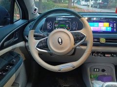 ORA Good Cat 400km Standard Range Athena Edition LFP Battery - ფოტო 15